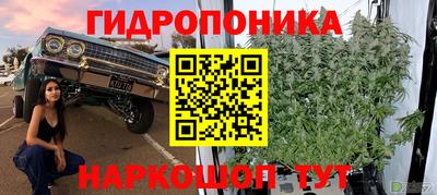стафф Чапаевск