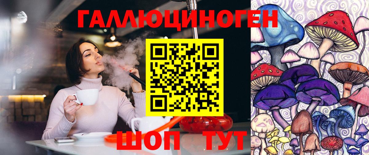 Камень-на-Оби  Псилоцибиновые грибы Psilocybine cubensis  Галлюциногенные грибы GOLDEN TEACHER  Вход с VPN 