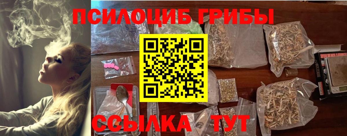 Галлюциногенные грибы MAGIC MUSHROOMS Камень-на-Оби